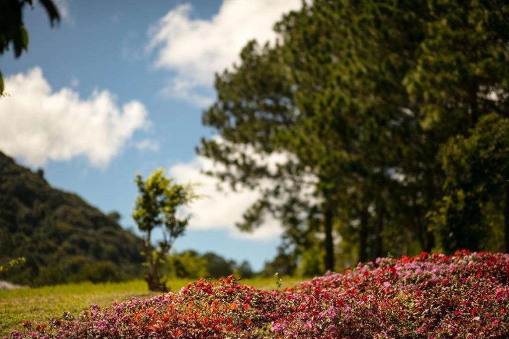 Sam Tuyen Lam Resort Da Lat Exterior photo