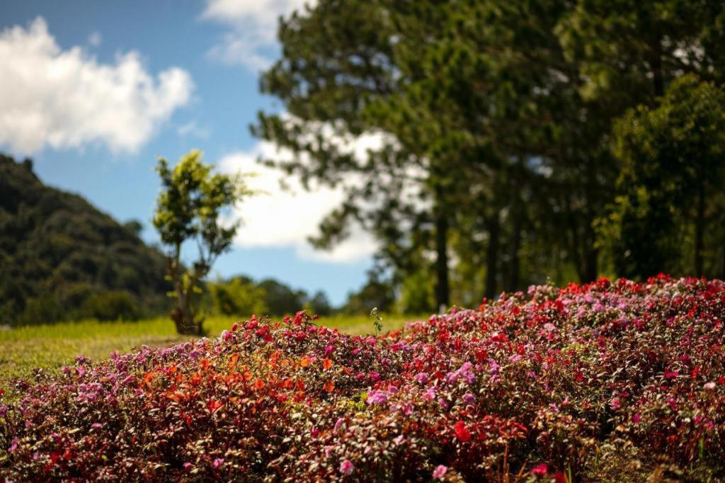 Sam Tuyen Lam Resort Da Lat Exterior photo